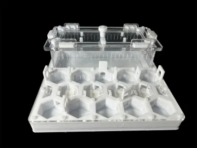 Мурашина ферма ANTMART Соти White А 200×200 мм