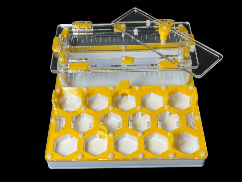 ANTMART Soty Yellow B ant farm, 200×200 mm