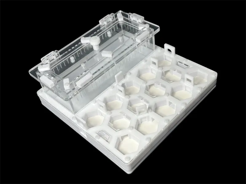 ANTMART Honeycomb White Ant Farm, Variant B, 200×200 mm