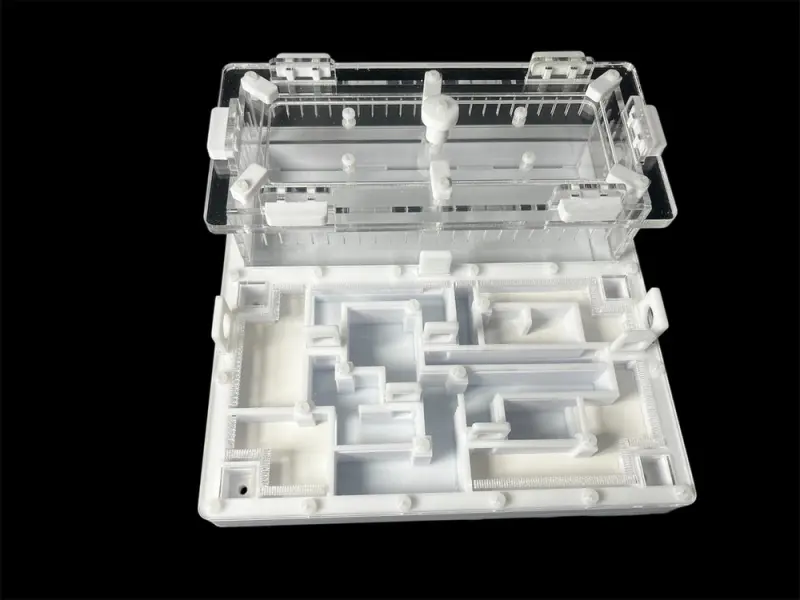 ANTMART Labyrinth White Ant Farm, Variant A, 200×200 mm