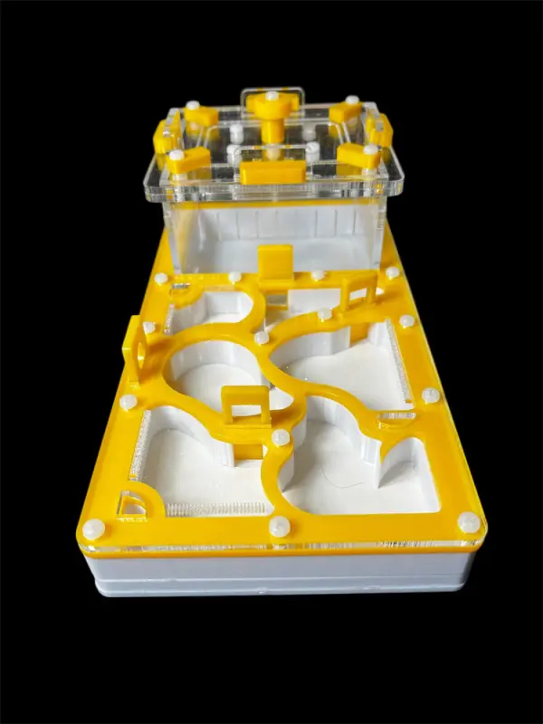 ANTMART Organic Yellow 220×110 mm Full-Gypsum Ant Farm, Variant B
