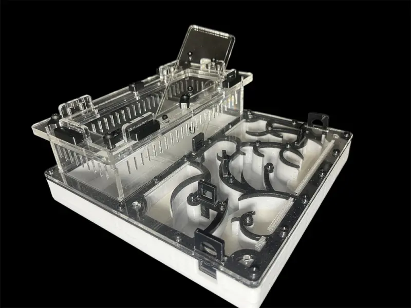 Origin Black 200×200 mm PETG formicarium with G-23 gypsum, variant A