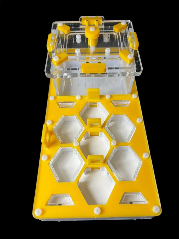 ANTMART Honeycomb Yellow Ant Farm, Variant B, 220×110 mm, G23 Gypsum