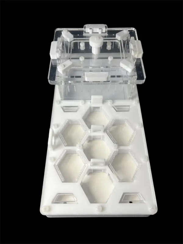 ANTMART Honeycomb White 220×110 Ant Farm, Variant B