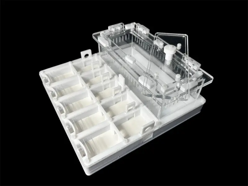 ANTMART Grid White 200×200 ant farm, Variant B, PETG and G-23 gypsum