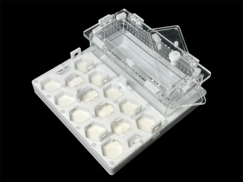 ANTMART Honeycomb White Ant Farm, Variant B, 200×200 mm