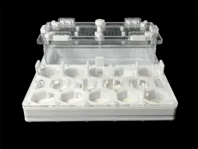 ANTMART Honeycomb White Ant Farm, Variant B, 200×200 mm