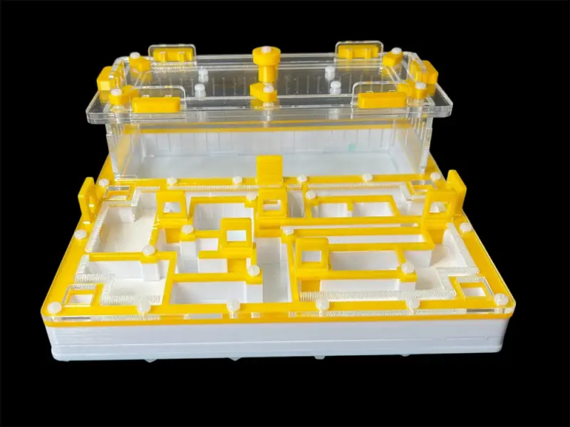 ANTMART Лабиринт Yellow А ant farm, 200х200 mm