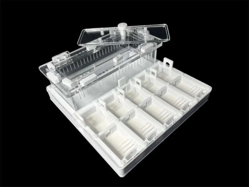 ANTMART Grid White 200×200 ant farm, Variant B, PETG and G-23 gypsum