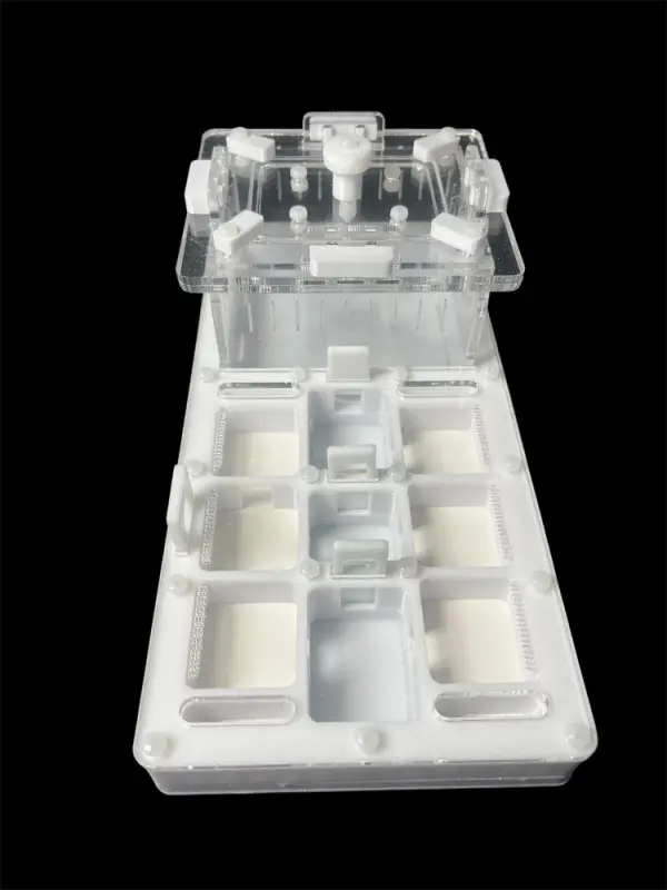 ANTMART Apex White A Ant Farm, 220×110 mm