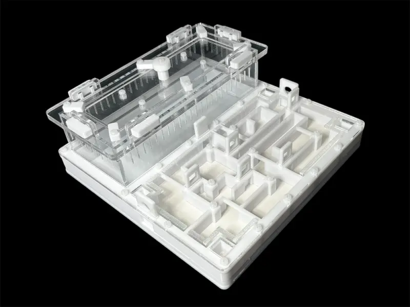 ANTMART Labyrinth White B Ant Farm, 200×200 mm