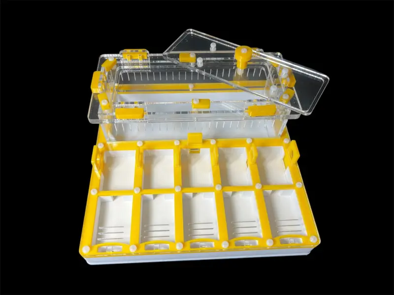 ANTMART Grid Yellow Full-Gypsum Ant Farm, Variant B, 200×200 mm