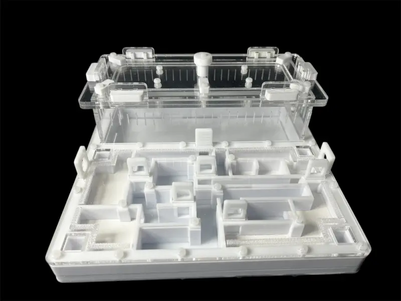 ANTMART Labyrinth White Ant Farm, Variant A, 200×200 mm