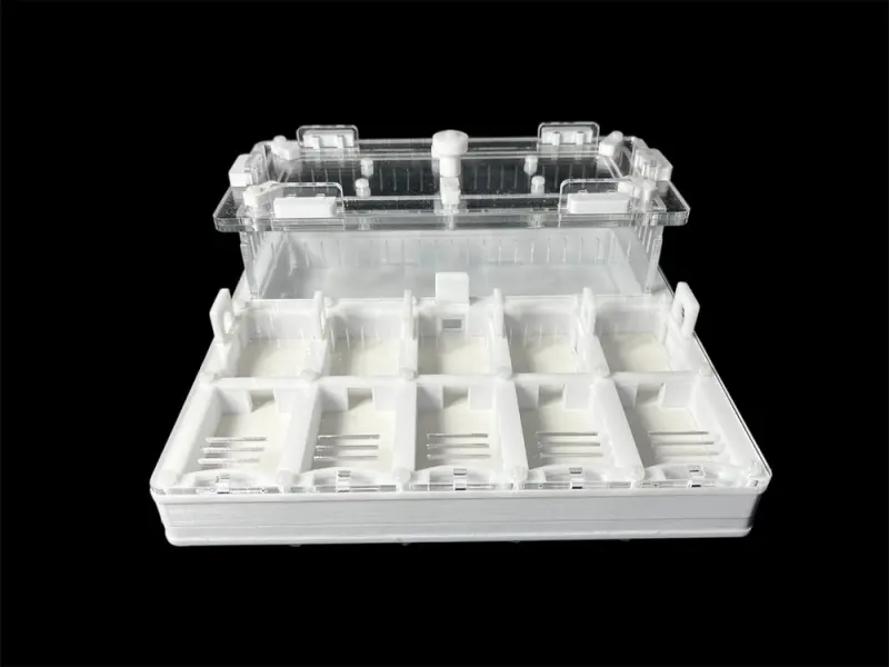 ANTMART Grid White 200×200 ant farm, Variant B, PETG and G-23 gypsum