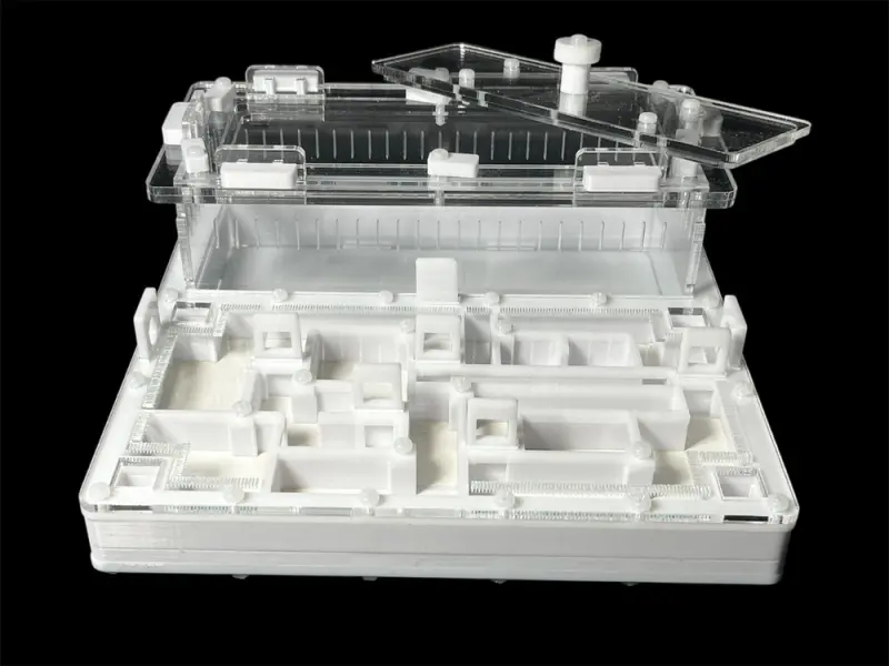 ANTMART Labyrinth White B Ant Farm, 200×200 mm