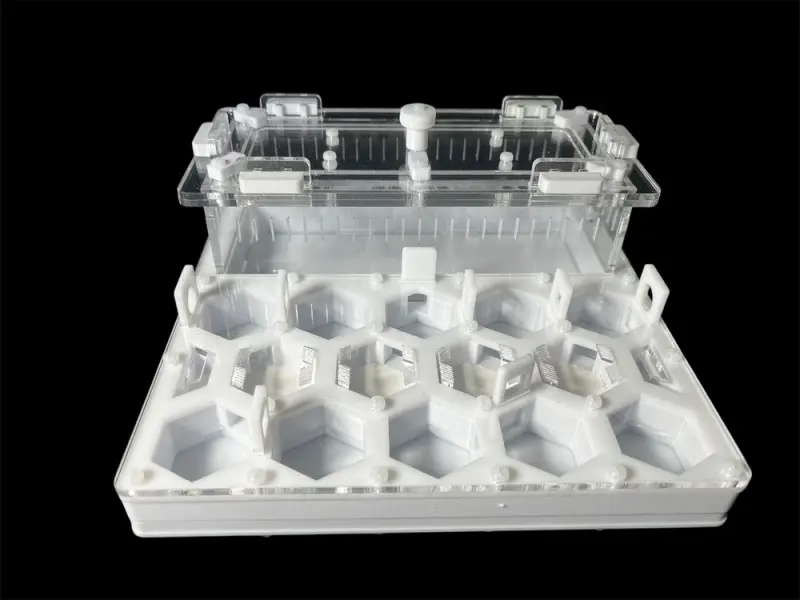ANTMART Soty White A ant farm, 200×200 mm