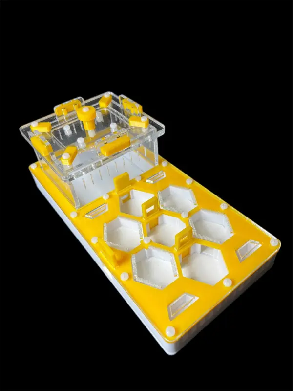 ANTMART Honeycomb Yellow Ant Farm, Variant B, 220×110 mm, G23 Gypsum