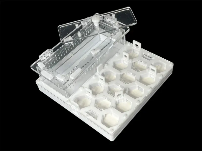 ANTMART Honeycomb White Ant Farm, Variant B, 200×200 mm
