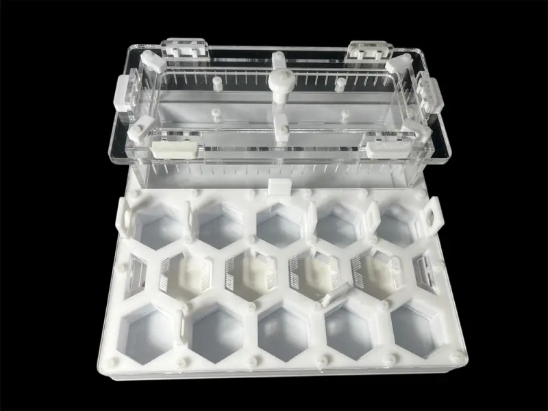 ANTMART Soty White A ant farm, 200×200 mm