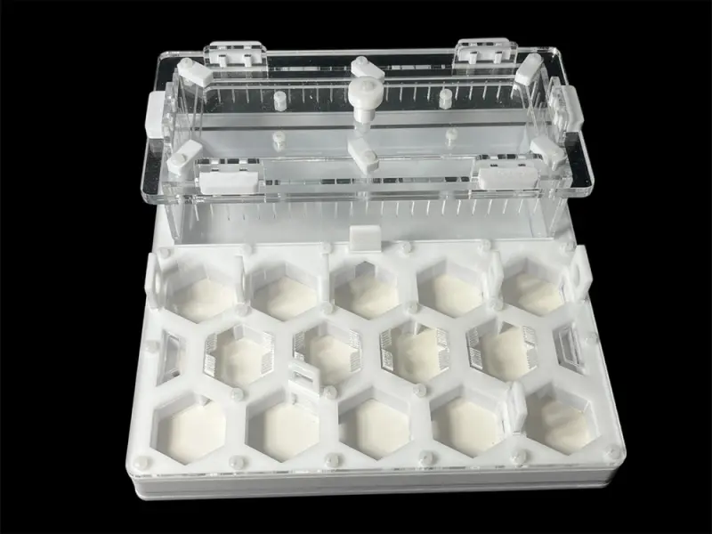 ANTMART Honeycomb White Ant Farm, Variant B, 200×200 mm