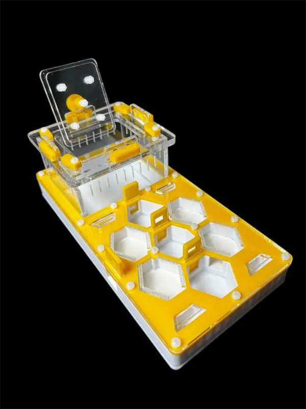 ANTMART Honeycomb Yellow 220x110 Ant Farm, Variant A
