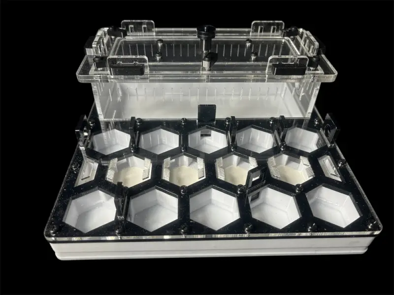 ANTMART Honeycomb Black A ant farm, 200×200 mm