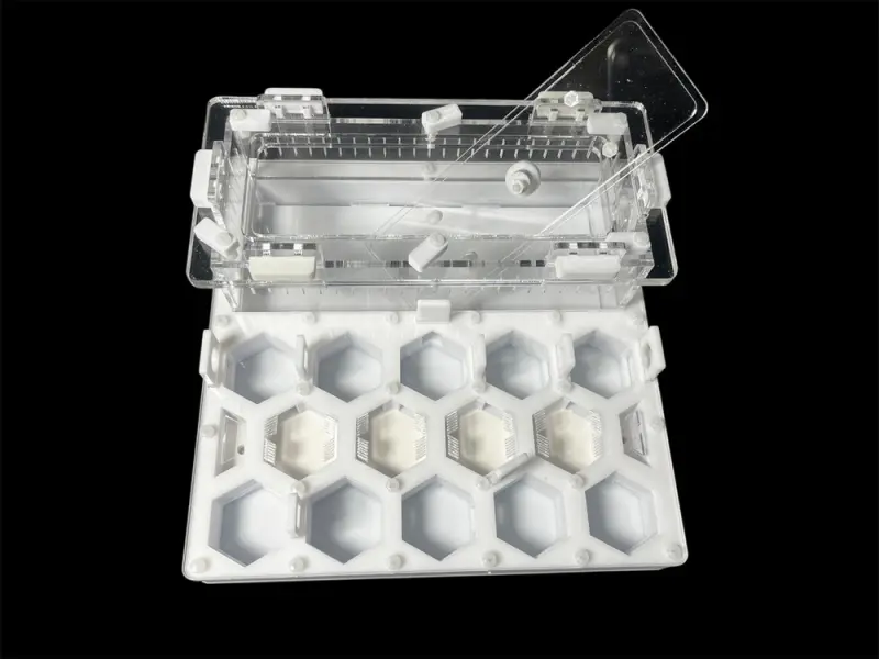 ANTMART Soty White A ant farm, 200×200 mm