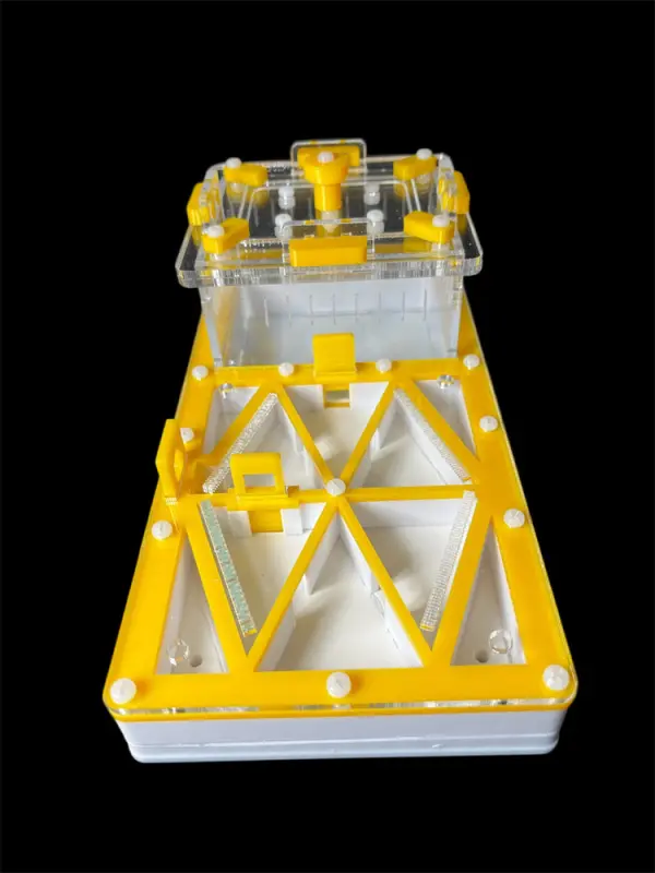 ANTMART Flow Yellow 220×110 Ant Farm, Variant B