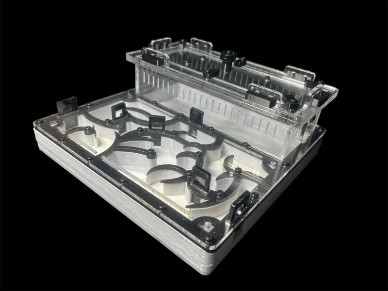 Origin Black 200×200 mm PETG formicarium with G-23 gypsum, variant A