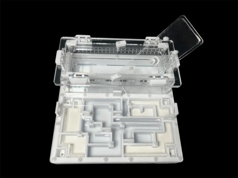 ANTMART Labyrinth White Ant Farm, Variant A, 200×200 mm