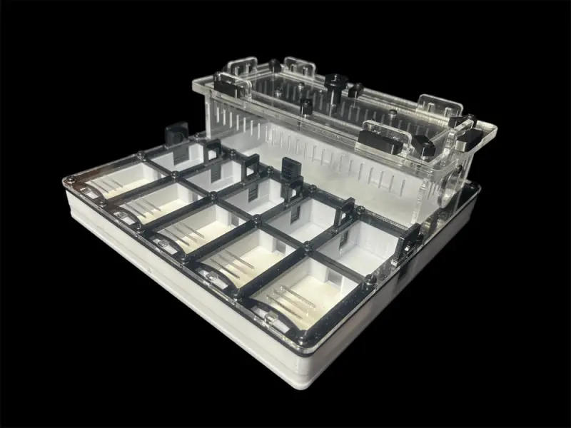 ANTMART Grid Black 200×200 mm ant farm, variant A