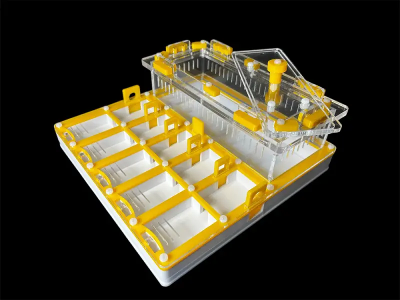 ANTMART Grid Yellow Full-Gypsum Ant Farm, Variant B, 200×200 mm