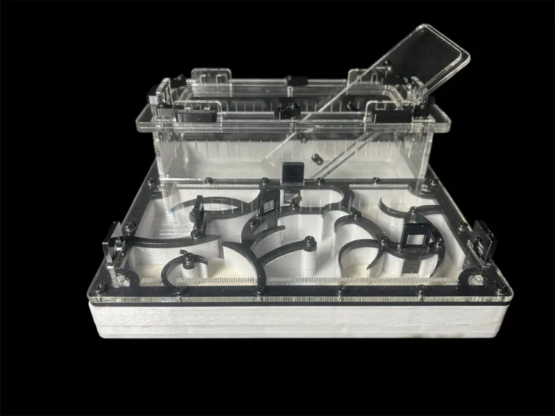 Origin Black 200×200 mm PETG formicarium with G-23 gypsum, variant A