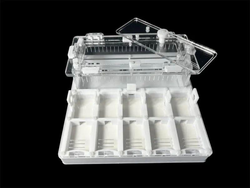 ANTMART Grid White 200×200 ant farm, Variant B, PETG and G-23 gypsum