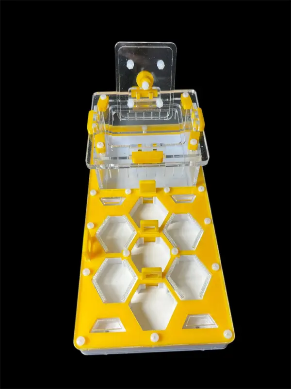 ANTMART Honeycomb Yellow Ant Farm, Variant B, 220×110 mm, G23 Gypsum