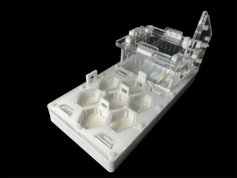 ANTMART Honeycomb White 220×110 Ant Farm, Variant B