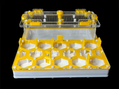 ANTMART Soty Yellow B ant farm, 200×200 mm
