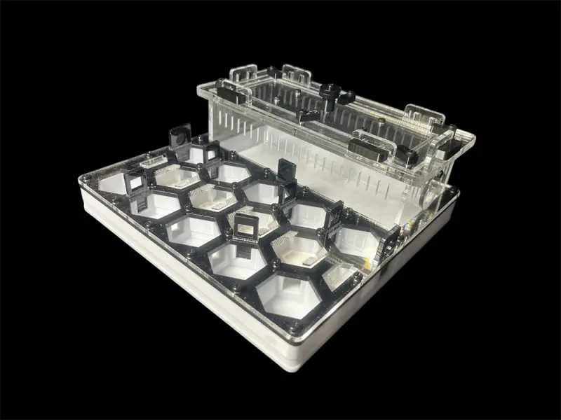 ANTMART Honeycomb Black A ant farm, 200×200 mm