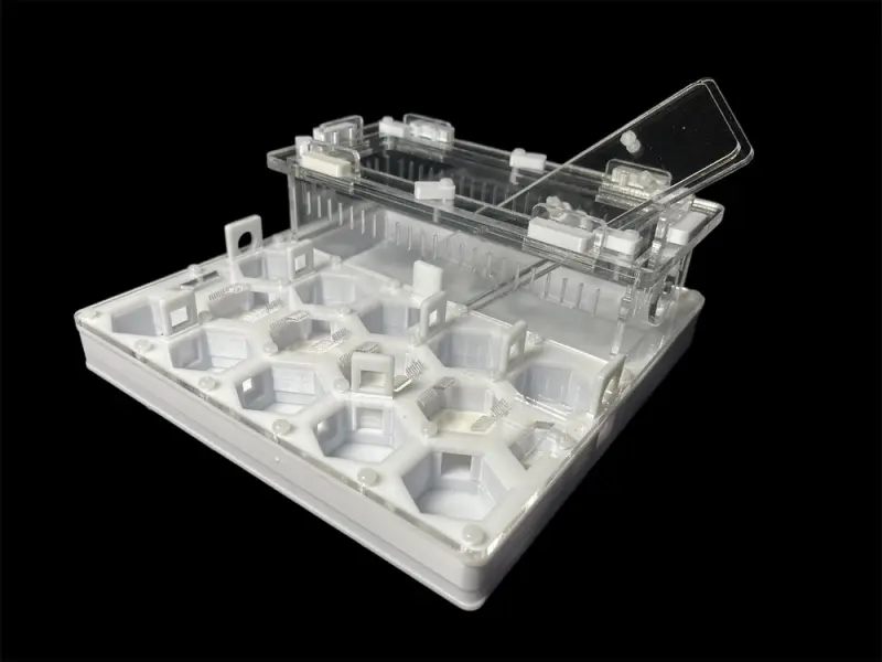 ANTMART Soty White A ant farm, 200×200 mm
