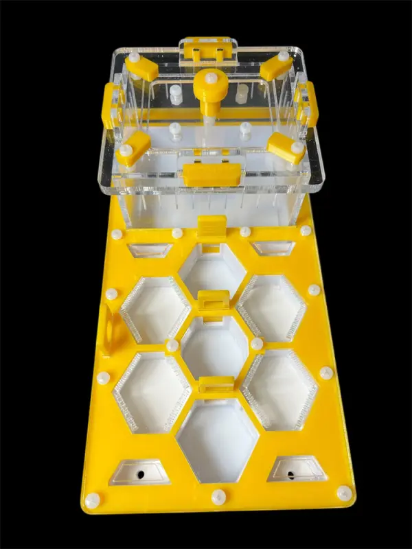 ANTMART Honeycomb Yellow 220x110 Ant Farm, Variant A