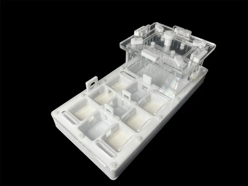 ANTMART Apex White A Ant Farm, 220×110 mm