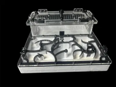Формікарій Origin Black 200×200 мм із PETG та гіпсом Г-23, варіант А