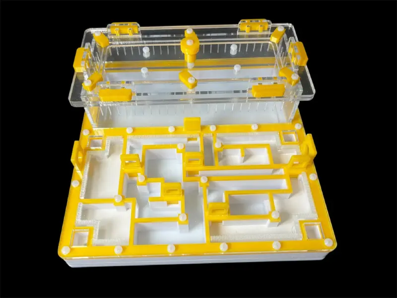 ANTMART Лабиринт Yellow А ant farm, 200х200 mm