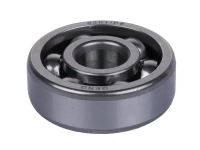 Підшипник AMG 6301/13/P53 для 171FMM/CB-250