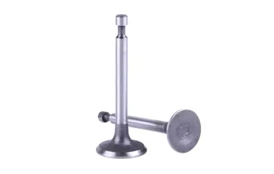 Клапаны двигателя 156F (4 HP), пара, тип 2 AMG