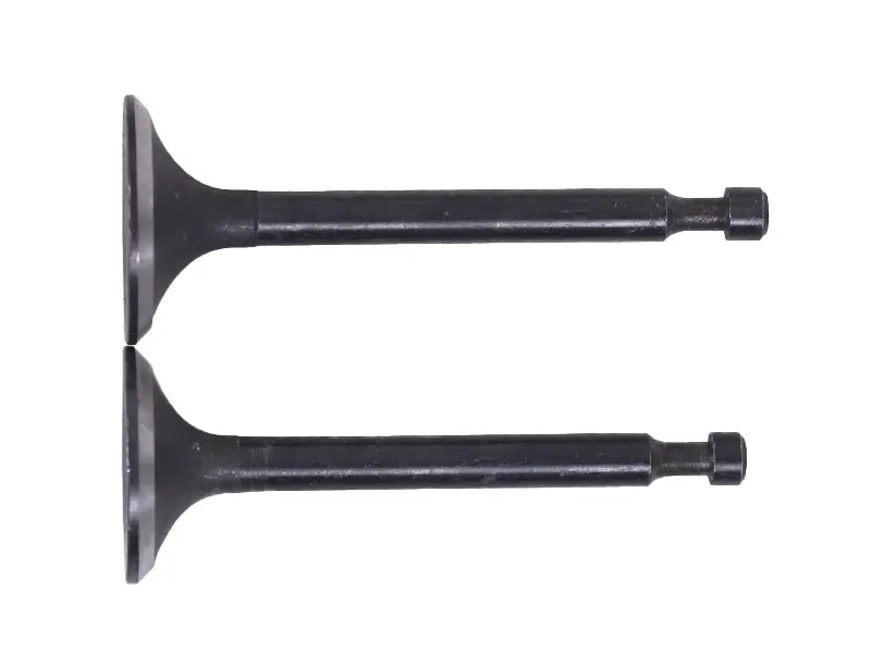 Клапаны для мотоблока 168F/170F (6,5/7 л.с.), пара, голые AMG-3