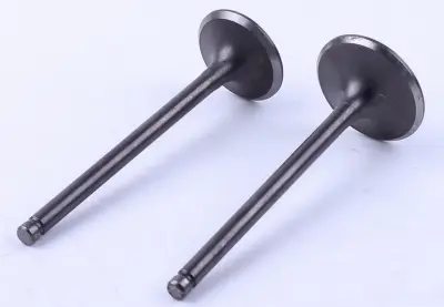 Клапани двигуна 4T CG200 (ZB), пара голі