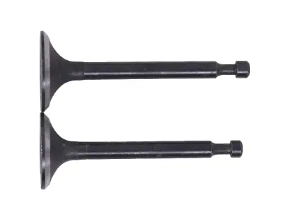 Клапаны для мотоблока 168F/170F (6,5/7 л.с.), пара, голые AMG-3