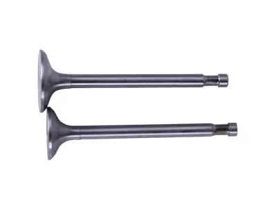 Клапаны для мотоблока 180N (9Hp), пара, голые, AMG-2