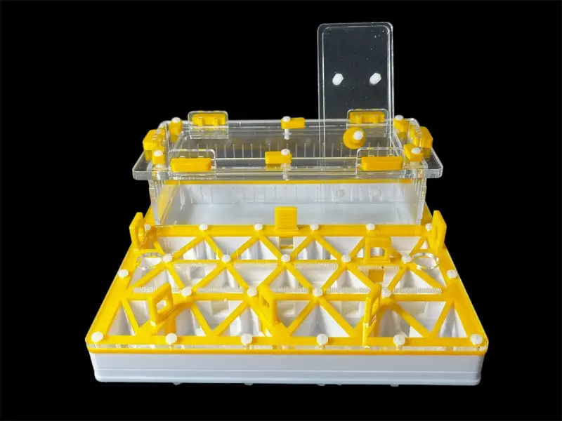 Муравьиная ферма ANTMART Trigon Yellow, вариант А, 200×200 мм